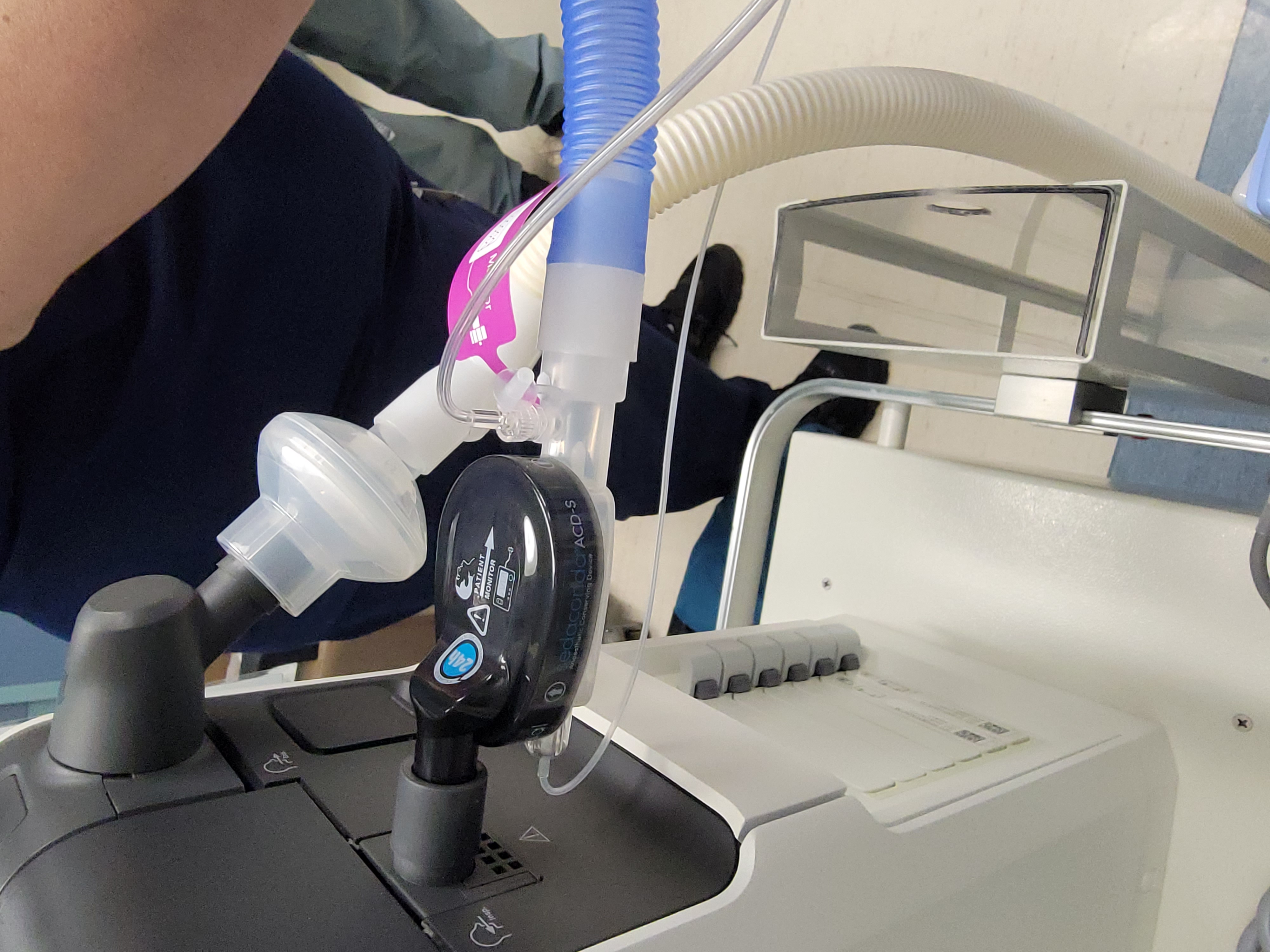 Lab gallery: 20230428_103744.jpg